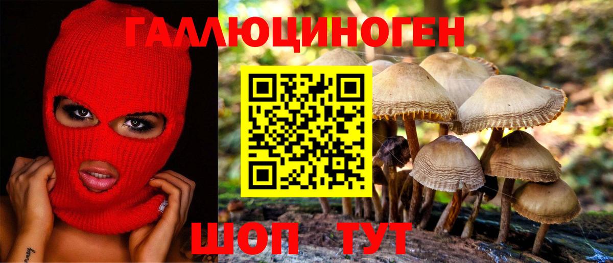 Зерноград  Галлюциногенные грибы прущие грибы  Вход с VPN 